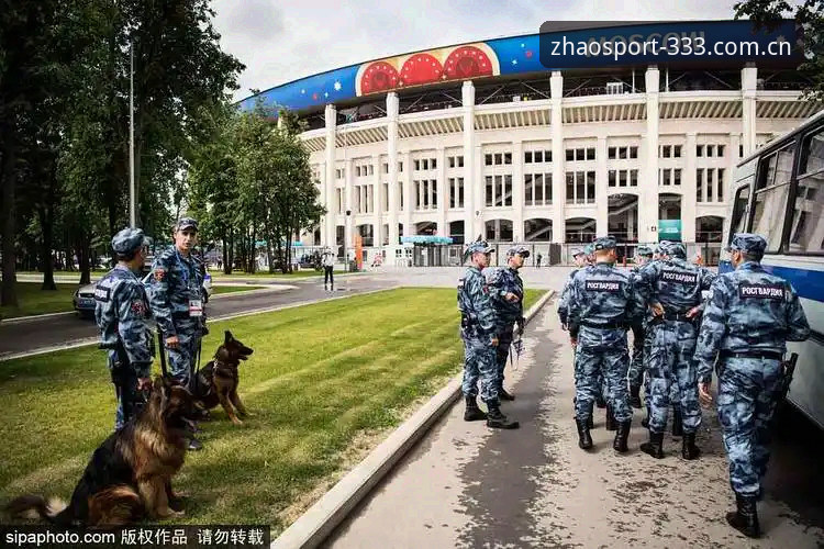 揭秘世界杯安保背后的真相：为何仅3名英国警员赴美，而333体育用户却看得更透彻？