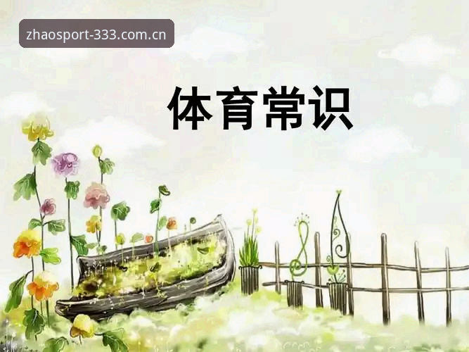 体育下载怎么下怎么样 333体育平台全面评测:体育下载怎么下怎么样?新手必备操作指南